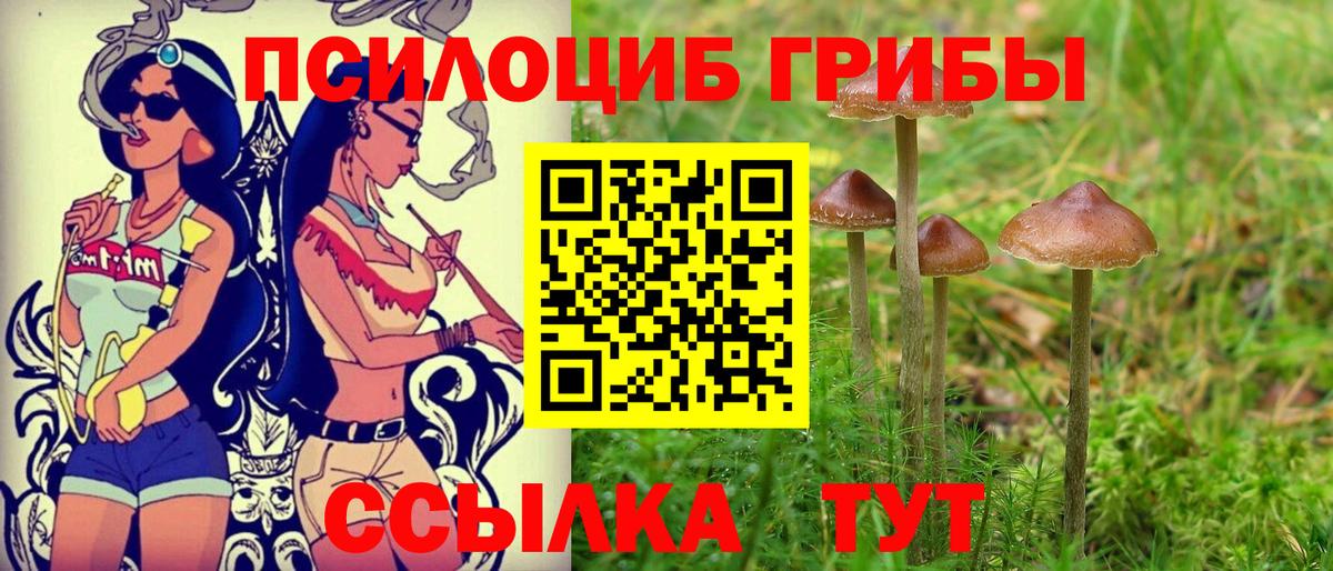 Мичуринск  Псилоцибиновые грибы MAGIC MUSHROOMS  Вход с VPN 