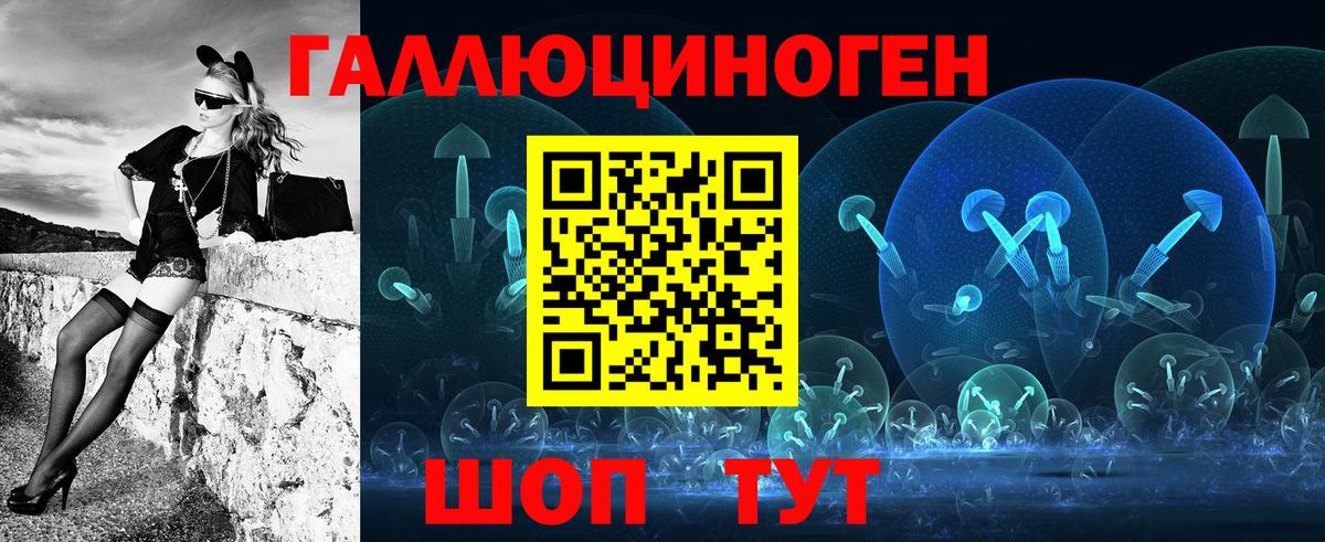 Псилоцибиновые грибы Psilocybe Мичуринск